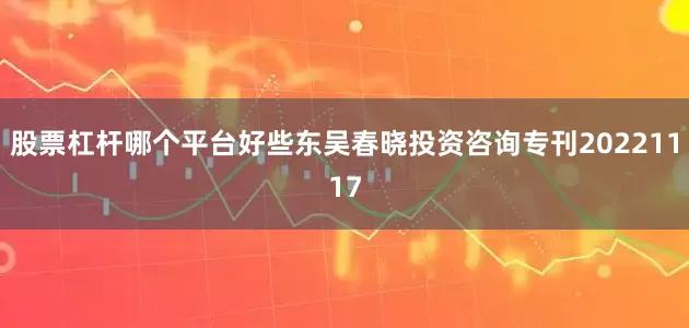 股票杠杆哪个平台好些东吴春晓投资咨询专刊20221117