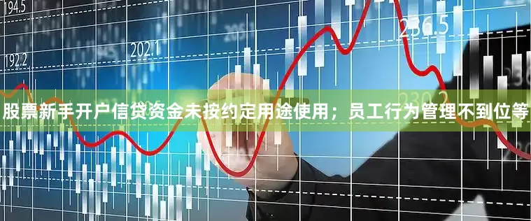 股票新手开户信贷资金未按约定用途使用；员工行为管理不到位等