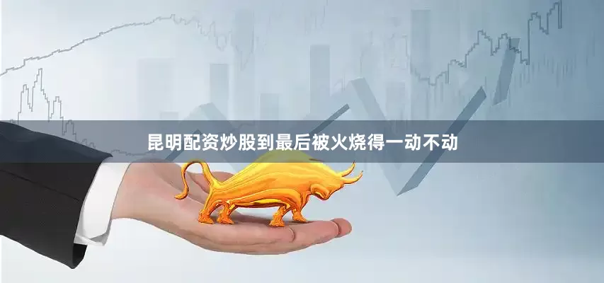 昆明配资炒股到最后被火烧得一动不动