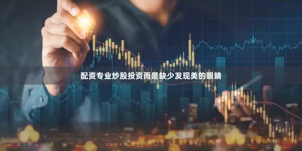 配资专业炒股投资而是缺少发现美的眼睛